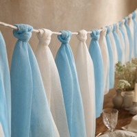 Blue Skies streamer — shot 4